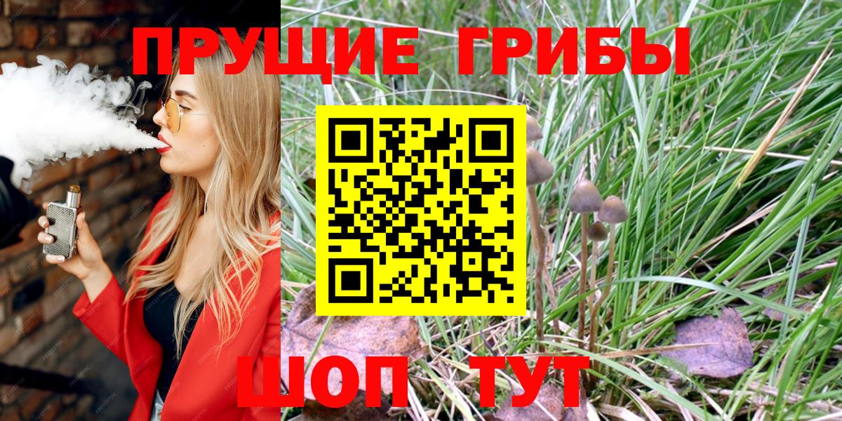 Псилоцибиновые грибы прущие грибы Гулькевичи