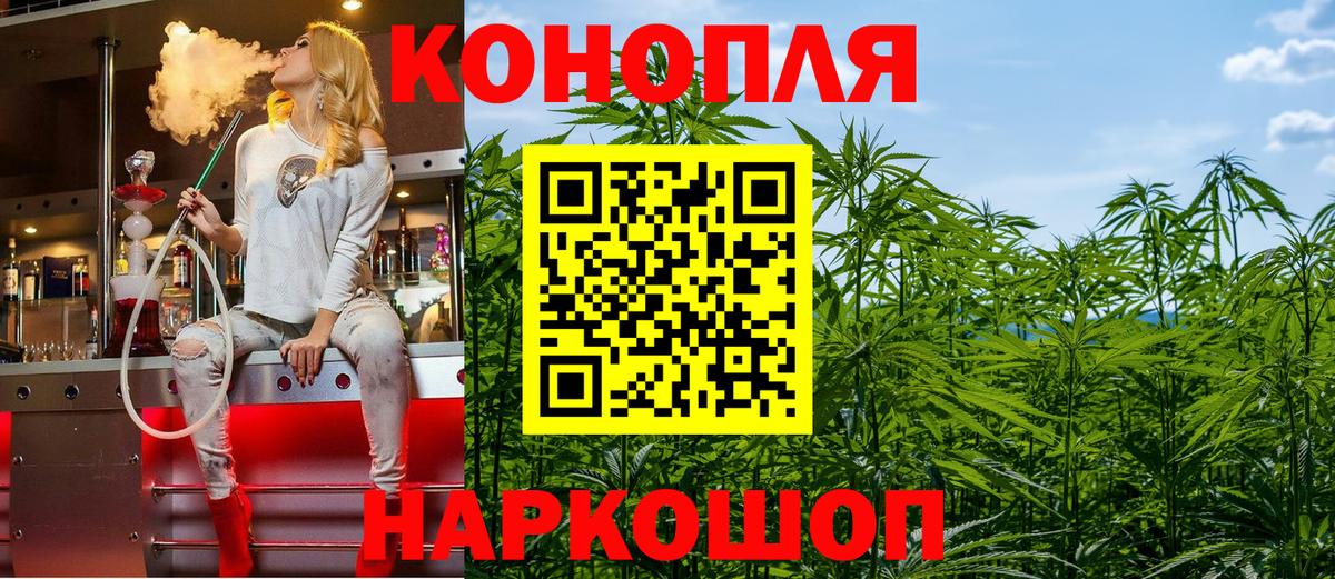 Конопля сатива Гулькевичи